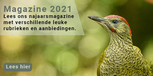 Foto Rooijmans Budel Magazine